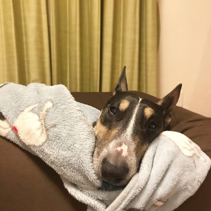 85457a48 507d 4338 b5cf 8b03521f47c6 1511539395746