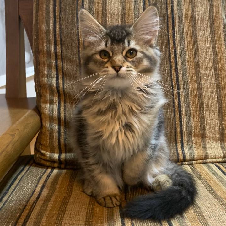 85457b73 22d3 4dc7 9702 a41530cce206 1758608141772