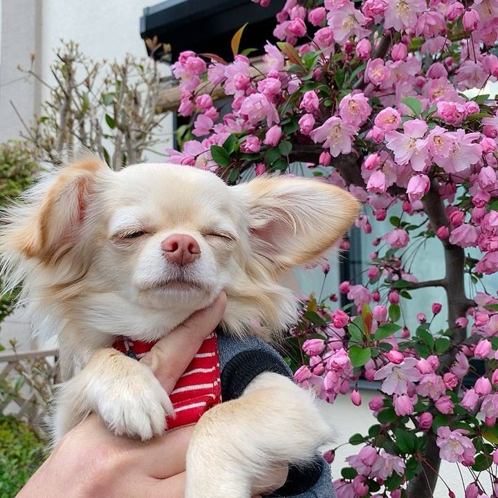 85458dc4 b6c0 42e7 8117 91e488c474db 1616473070654