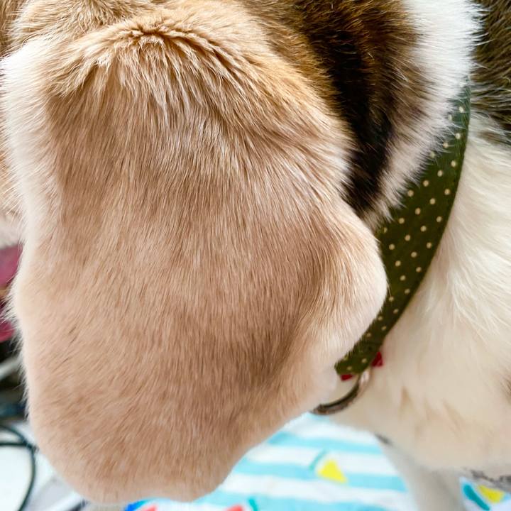 8545cf3c c05c 4557 b46b 84446a388905 1662353411655