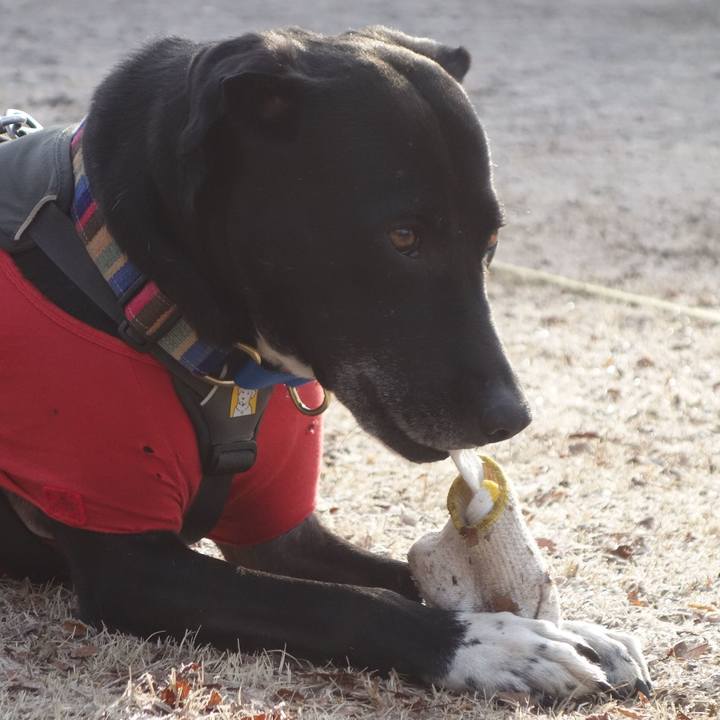 8545eb18 265f 4c49 b20b 906ac5c50eab 1644631878973