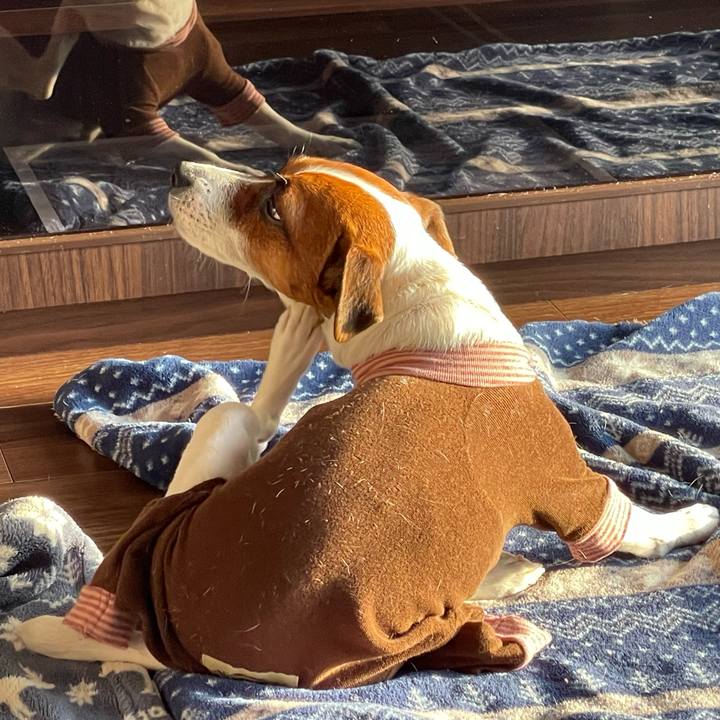 8545eca5 0127 42f2 b016 4870a9993c7a 1646347192645