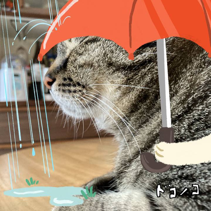 8546088f ccfe 494a 8371 4ddf1798cca3 1749103988660