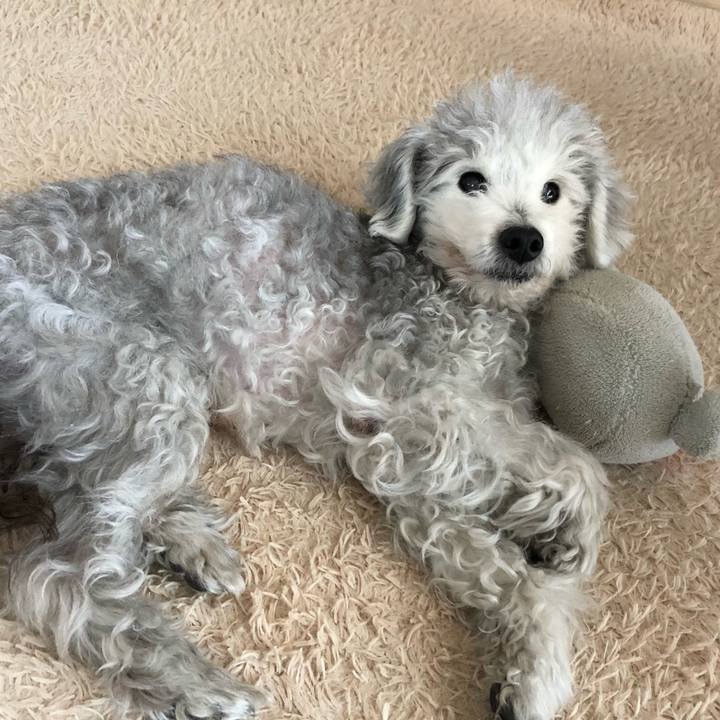 85462ea1 7c13 4eba a3fd f067c0fc04dc 1581049391693