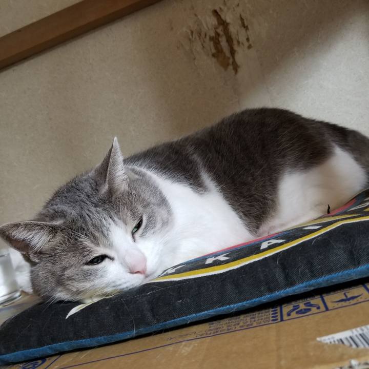 85465968 39a7 4eca ad81 19c1ea7edf08 1633566555342