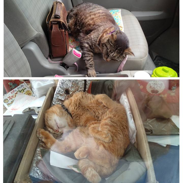 85467da6 48c7 49e1 816a de49c41aa24c 1747215242374