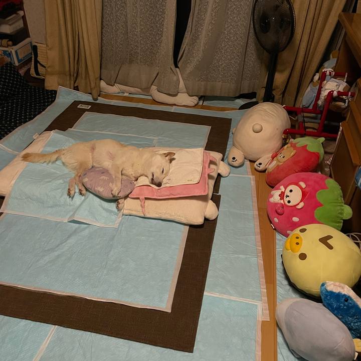 85468b4a 5e63 498a a4d3 c5d0fd200d58 1666097696993