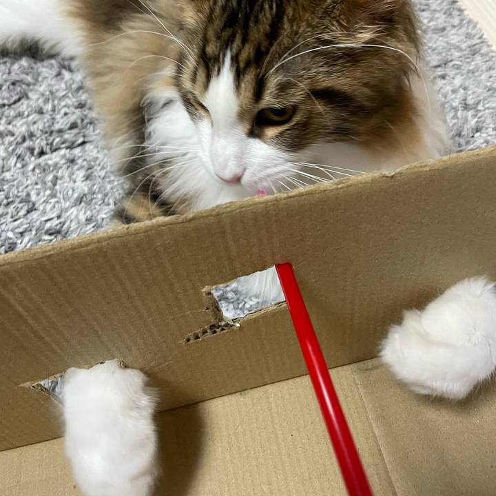 85469055 759f 4e59 a248 3a20f7859a13 1639913911525