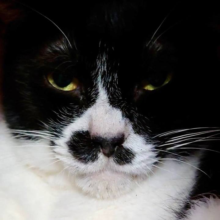 8546a652 703f 4a33 b61e b5c40b62ebb9 1649763202167