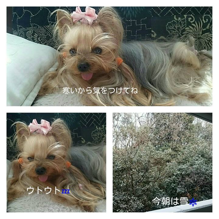 8546ae74 f0e0 4314 99f3 7f6718c99153 1549874398436