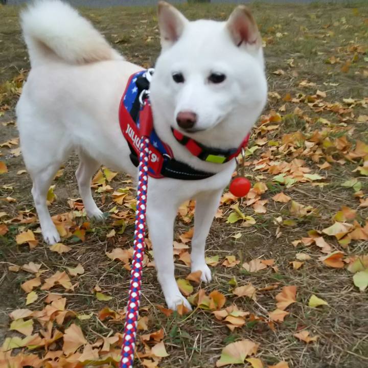 8546dc3a 6a02 4a1b a4cf 1813b7545baa 1569663385546