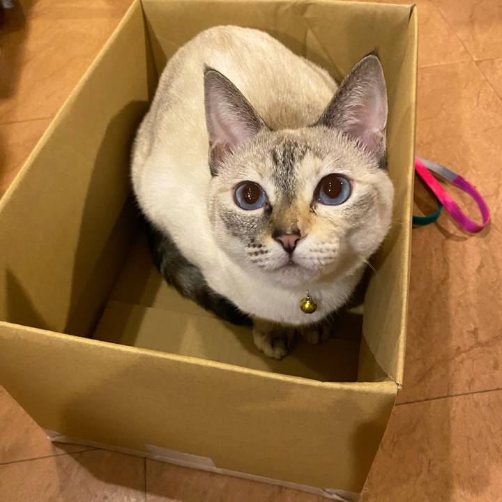 8546fd29 b8f4 49e6 81f4 6e5a7867a731 1695289104895