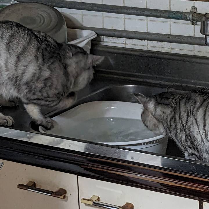 85470996 af84 433a b4b8 30c1722c4cd0 1693581422589