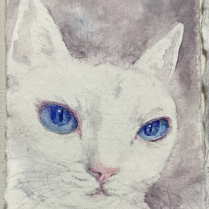 85471943 258a 4416 b133 66dacc3d8284 1746665768408