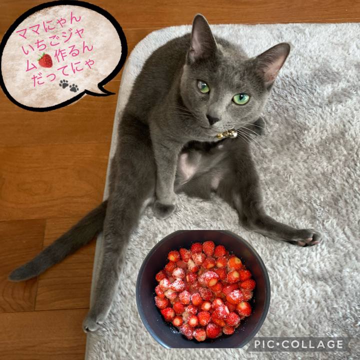 8547310f 7a57 498b a0ec d526ae5ceec4 1648789687966