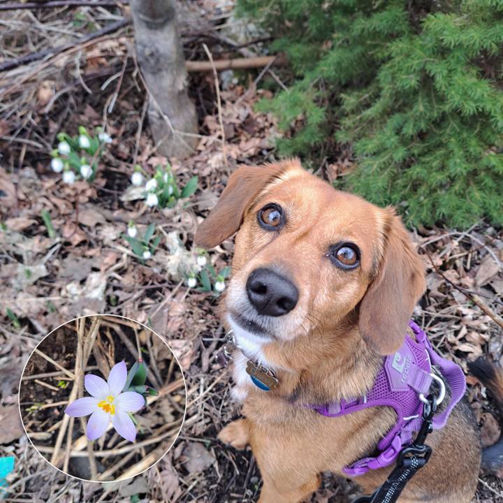 85475e39 7a65 41fc 8824 8412bd58ba1f 1774905773553