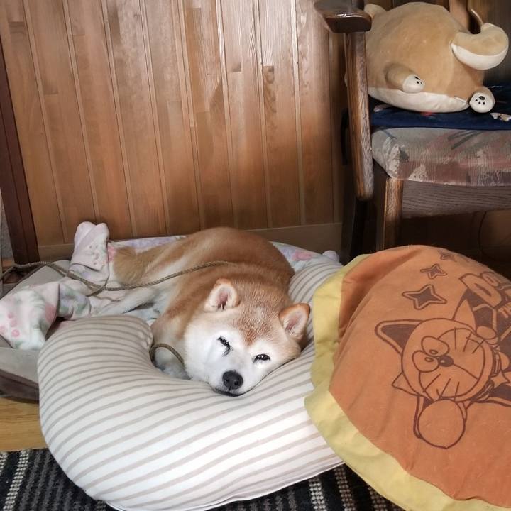 85478618 9afa 4d77 9835 42c3e6912820 1724460160193