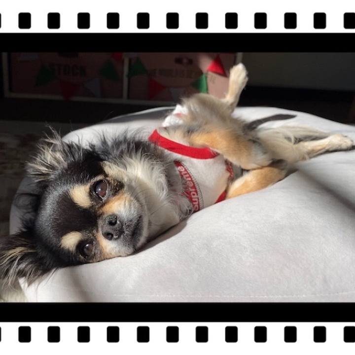 8547a6a8 180f 461e a6f9 1f0968c02b71 1639133621663