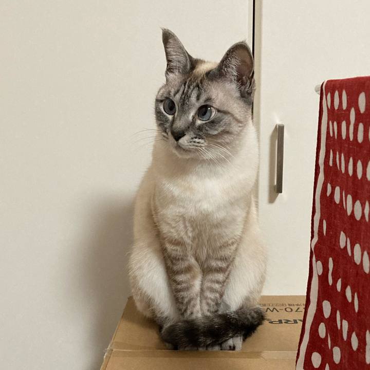 8547b026 e973 4a97 86ff 3d50f7b2e7d8 1617884809538