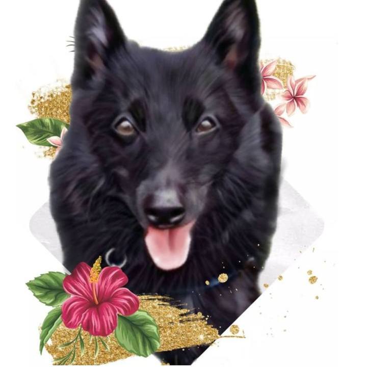 8547b787 0ca0 4f53 a0d1 b5b369e769ca 1633424583190