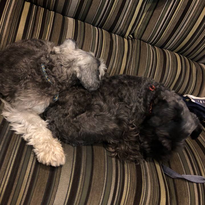 8547cc83 e4b7 4d93 88e4 82ffa5f2504e 1541681094741