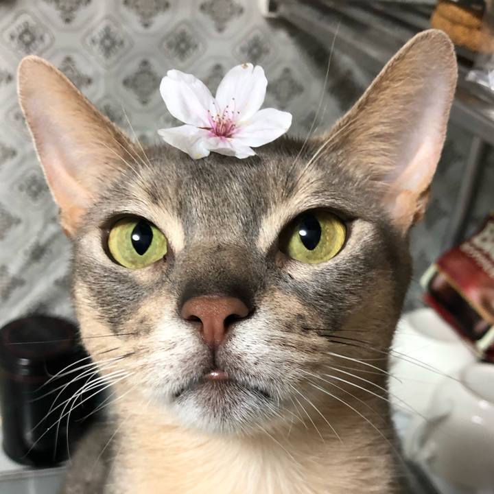 8547d2d7 5293 4783 9345 ee23fd92c631 1764063994218