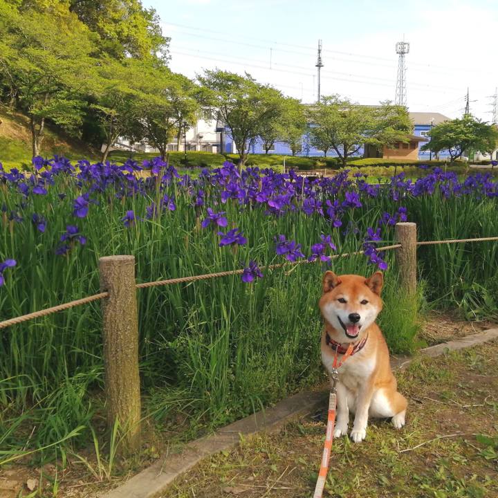 8547e7b0 0016 4fb2 91d9 9911a96490f7 1682752443862