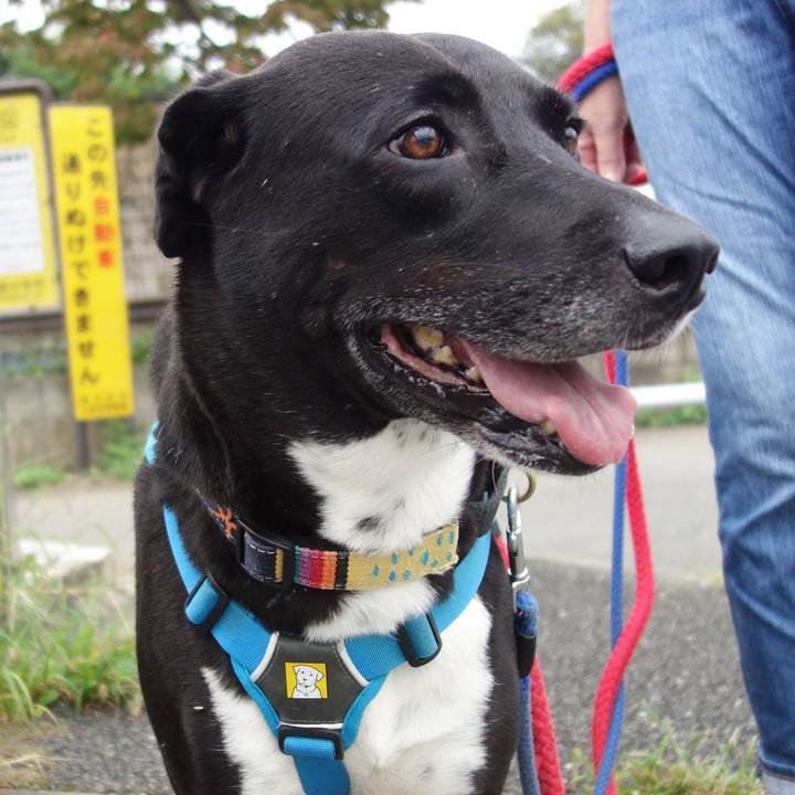 85483333 5600 45cb 8ad0 54f8dc1e8f6d 1632703713168