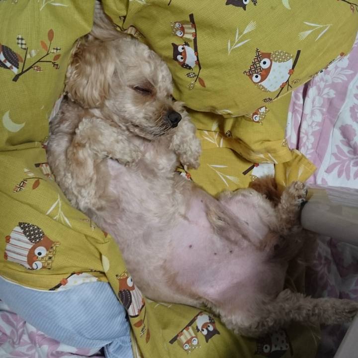 85483538 d869 40f2 80db 4eb4cc44567f 1562683568444