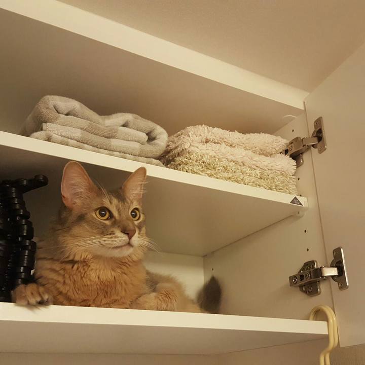 8548504e 632e 40a3 8335 9198d48bf9eb 1557193066929