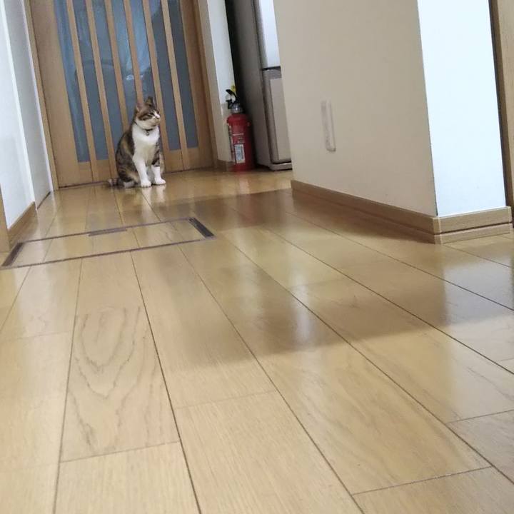 85488b21 0e87 4177 9a57 b318f05e0b30 1648454783080