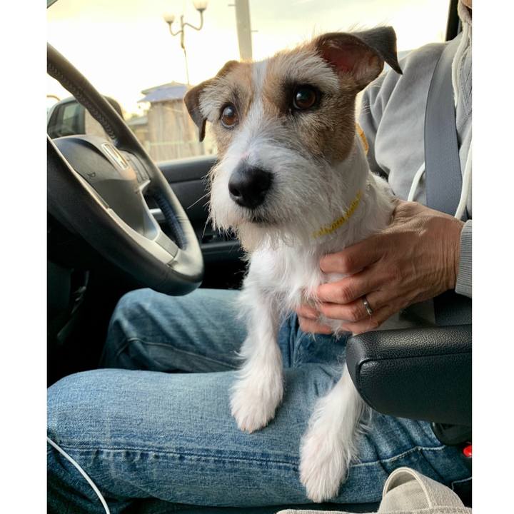 8548a1e1 5fa6 405d ba29 fef720288d85 1617958508755