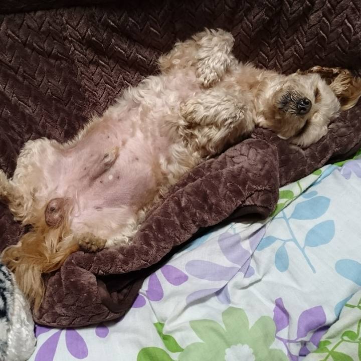 8548b2e7 a1f5 41ef 8118 38aa1c232c94 1607094192842