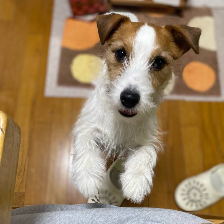 8548e6e0 1d7b 4204 bb39 e00cd0730849 1741040908200