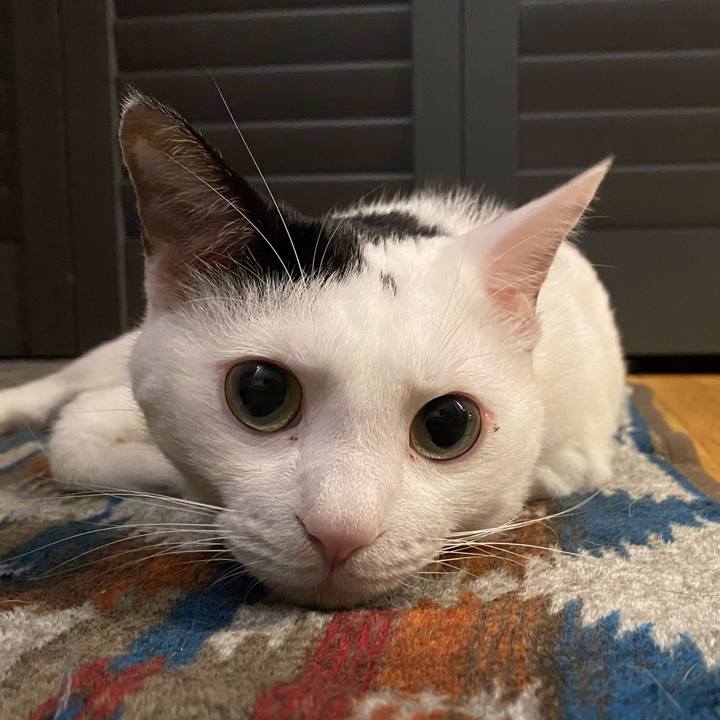 854941b9 206f 4c8e 8181 8d6950613df8 1722580035343