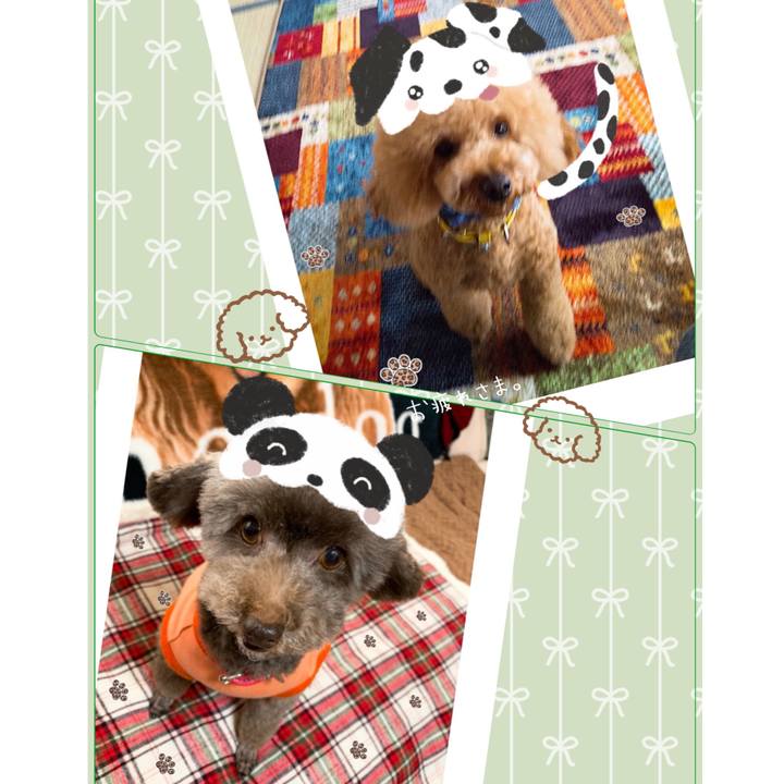 854949e9 d944 4ac7 87d3 f959a2864a7d 1645680394039