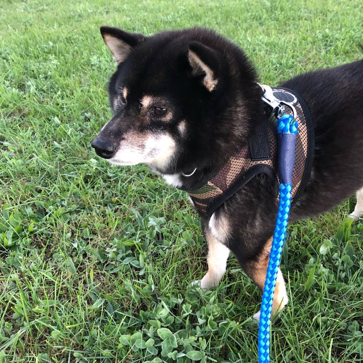 8549aeb9 a021 409f 89fe faaa9d80139a 1539083121257