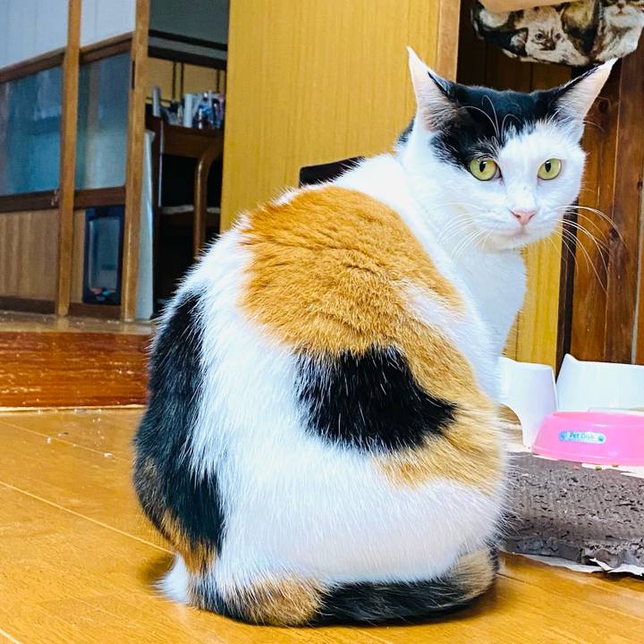 8549c484 b8c2 4a39 8399 f5ec5d88bd18 1697962315814