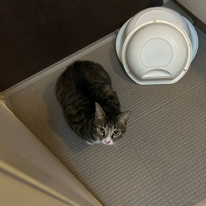 8549e978 1577 4de0 97fa a6742481bd90 1764066907240