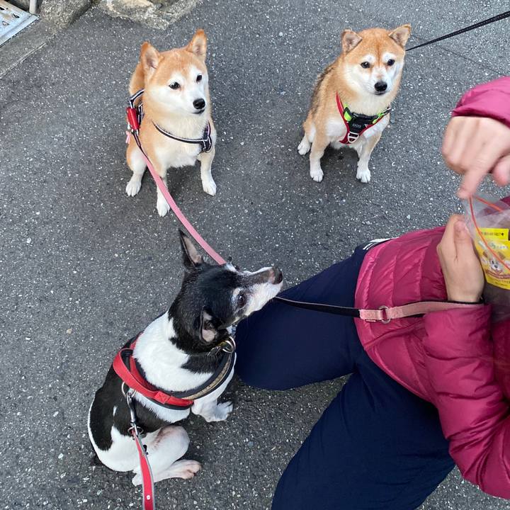 854a12c5 4a25 453a a343 0ba1f6ca7510 1603661523600