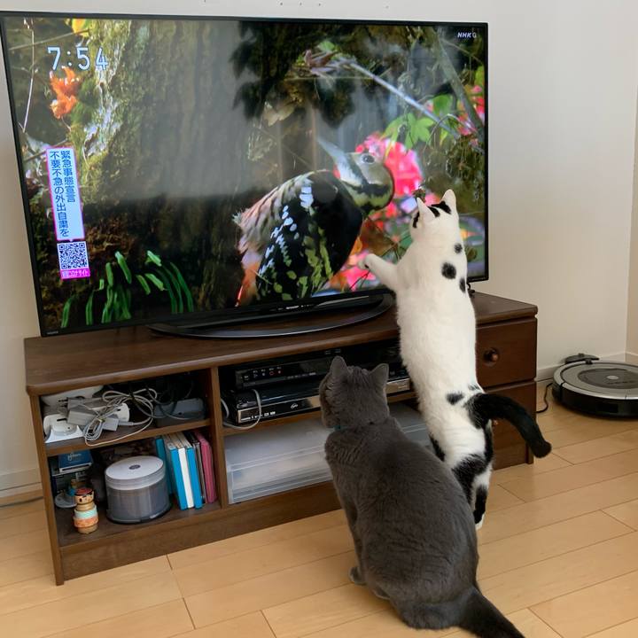 854a2460 19cc 4f67 ba10 bc210499fc9d 1611443354912