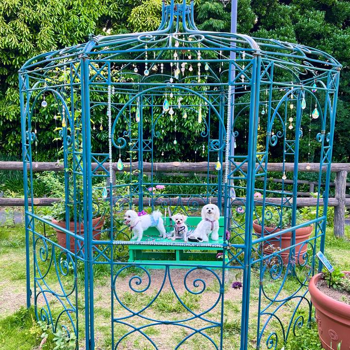 854a2f23 d3d3 4a9c ba53 0080c82ebb68 1657074457151