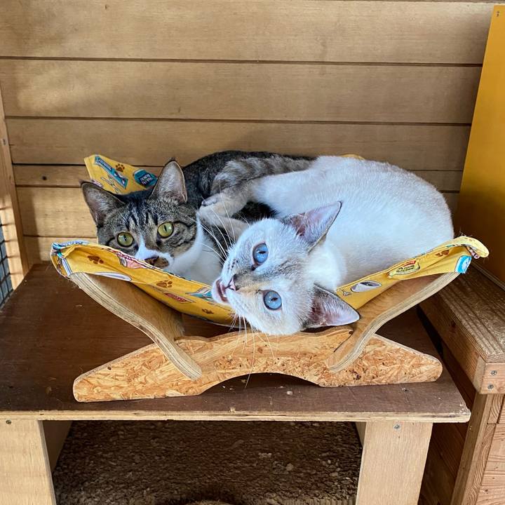 854a43ba c5f3 4692 a0d5 e166d6957ba7 1664845094910