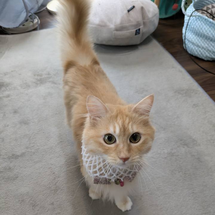 854a735f d364 4886 aa68 a2624f23d868 1754539744125