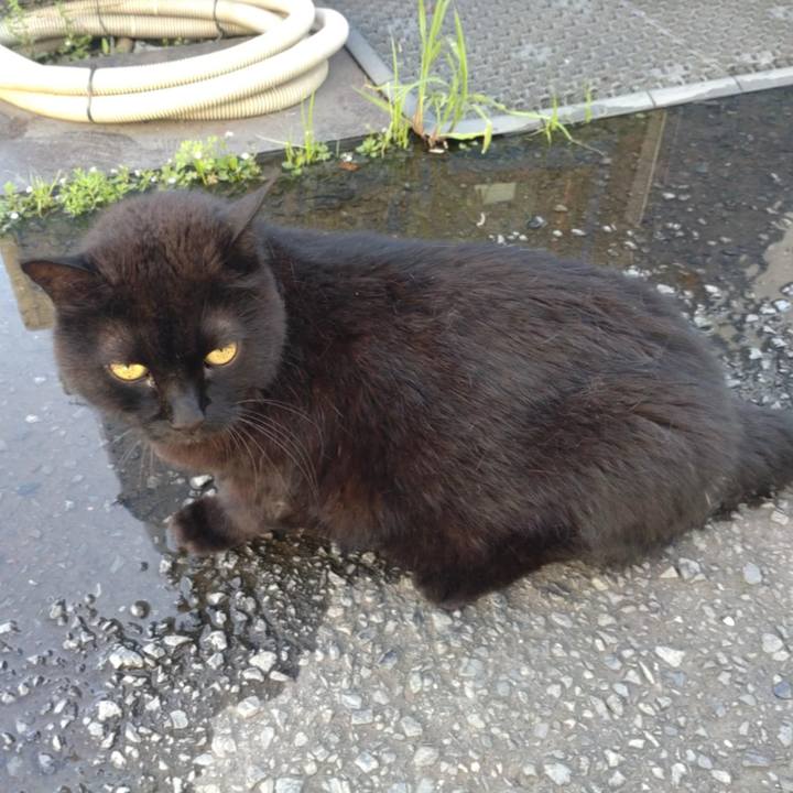 854a77fa fef7 4baa b7ac 5f81ce34d293 1752806156001