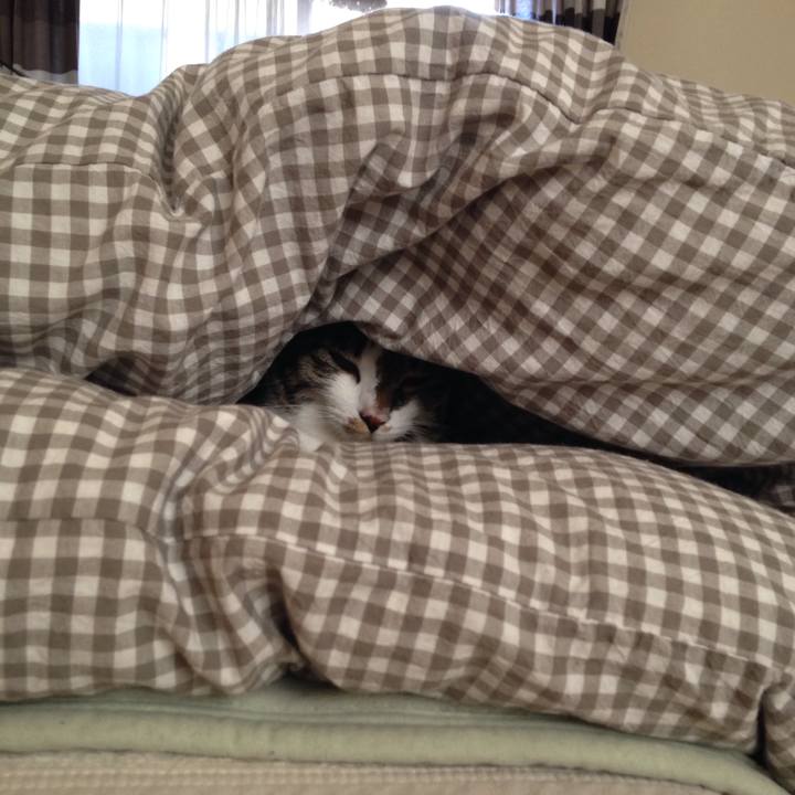 854a8d91 a09b 4be8 ba2a fc1a14632721 1510196731632