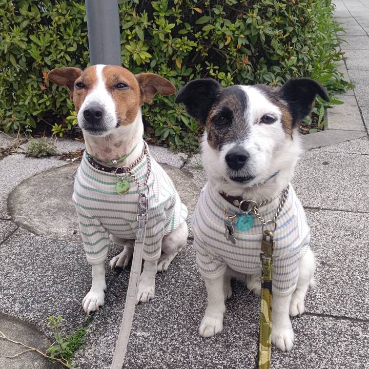 854ab953 7c19 4a5d a54c 32bcc033a3c1 1680129723864