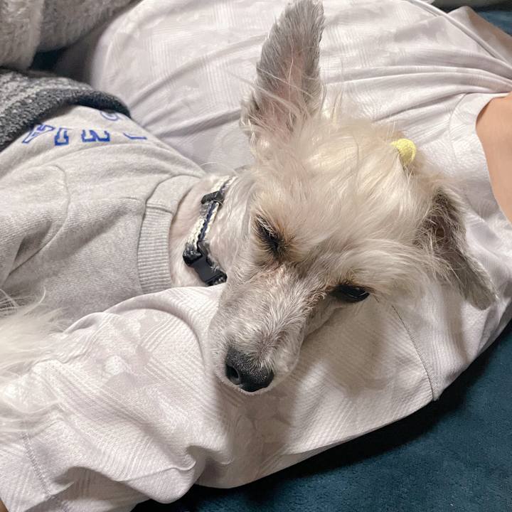 854b0912 da6b 4d3b 846b 40dc0df37807 1761388962884