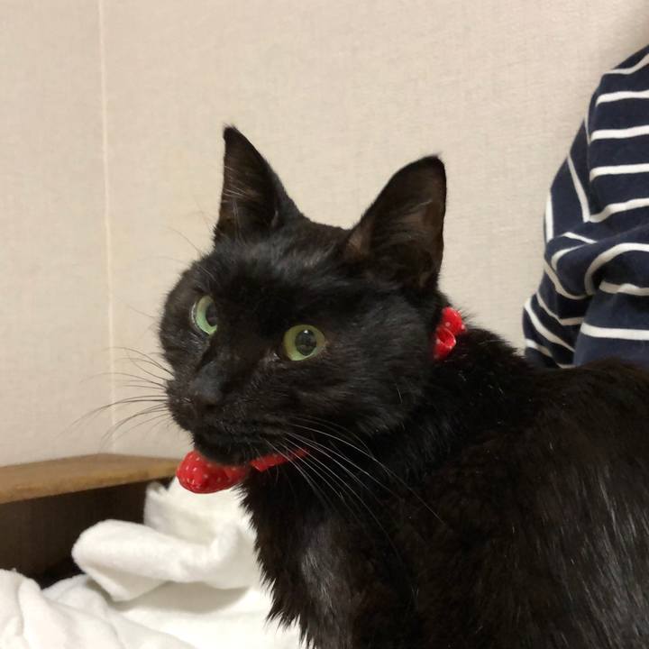 854b2562 37af 4f5a 851a 2175f25562bf 1557313261208