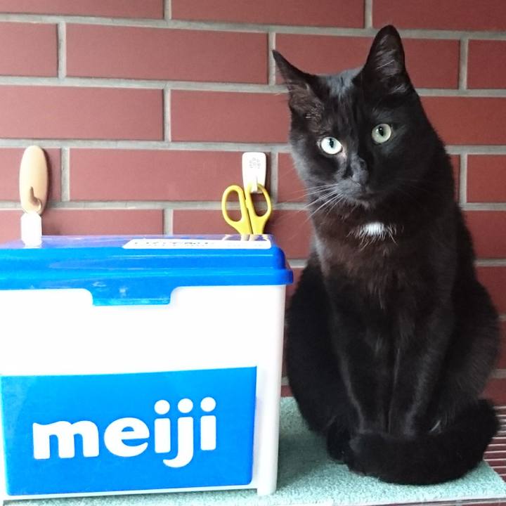 854b3c14 864f 4691 9851 88de6e773b12 1566377108544